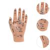 Anatomical Hand Mannequin Chinese Medical Meridians Educational Study Smooth Versatile Teaching Aid