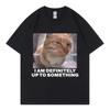 Soy definitivamente hasta algo divertido gato Meme camiseta moda de venta al por menor tendencia mujer Casual Harajuku manga