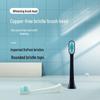 Metal-Free Electric Toothbrush Head with Replaceable Hot-Melt Bristles