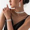 New Fashionable Shining Necklace Earrings Bracelet Set Luxury Style Earrings and Accessories