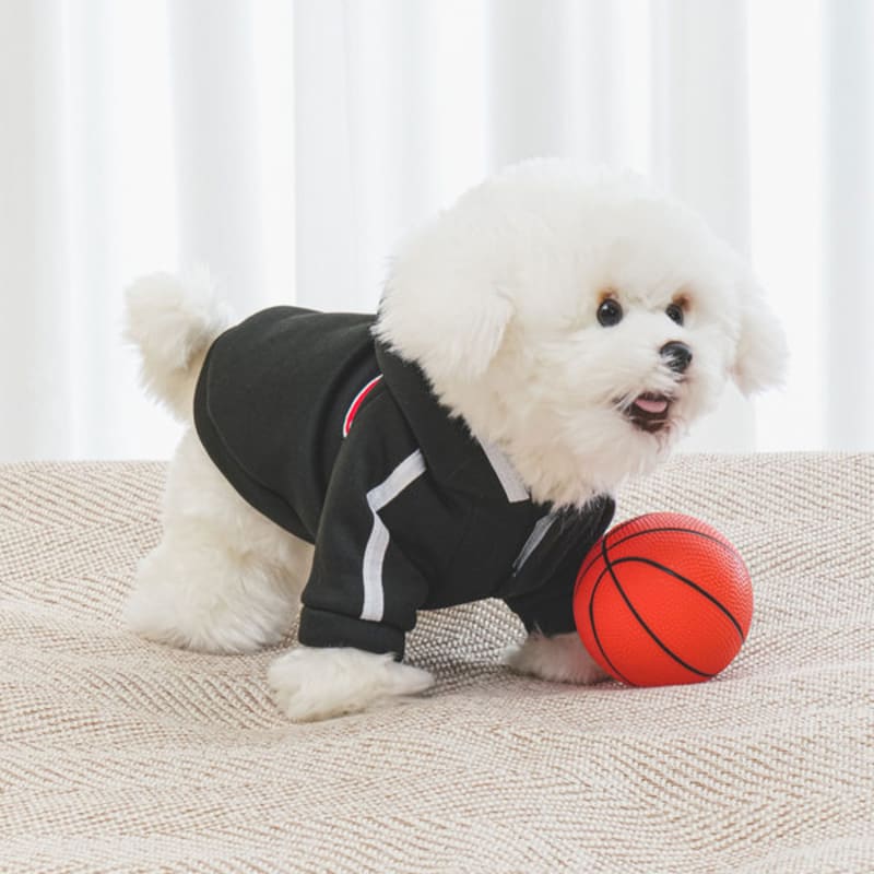 [Питомец] Тренировочный костюм с капюшоном M Черный