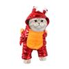Pet Transformation Cat Funny Christmas Transformation Dog Clothes, Pet Funny Halloween Costumes