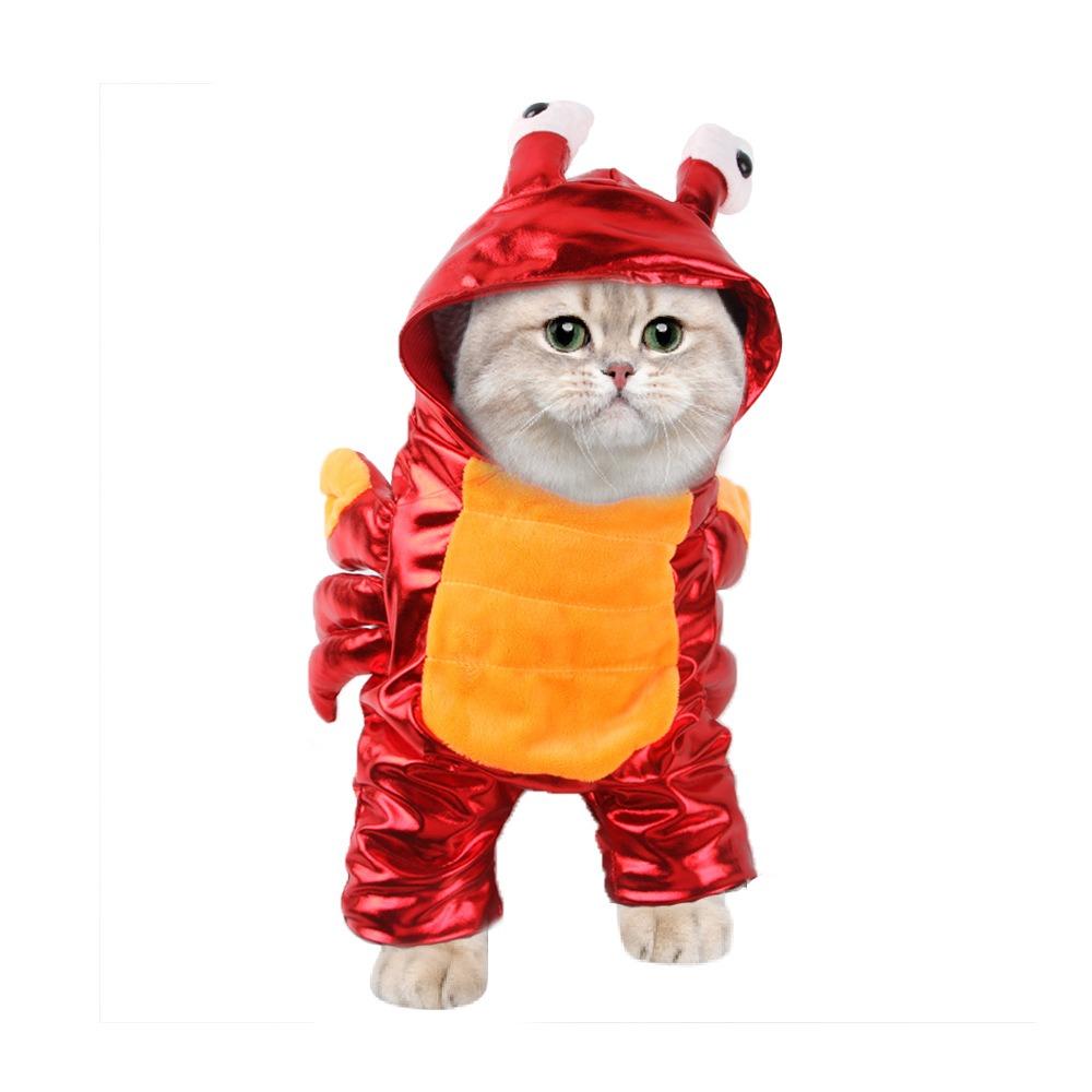 Pet Transformation Cat Funny Christmas Transformation Dog Clothes, Pet Funny Halloween Costumes