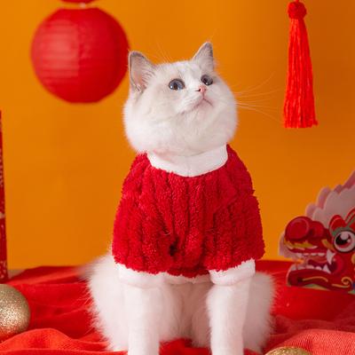 Кошачья одежда, Новогодние поздравления, Новогодние поздравления, взрослые кошки, котята, держать лапы в тепле