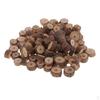 100pc Lot Bulk 5-10mm Natural Pine Wood Slices Logs for Crafts Ornaments