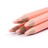 Monochrome Skin Tone Flesh-Colored Pencil for Portraits and Figures - Ideal for Art Students