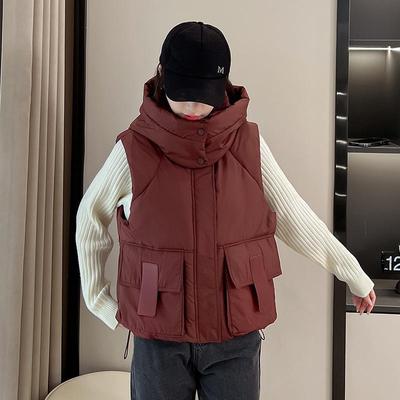Женский стеганый жилет с капюшоном в корейском стиле 2024 - Свободный, Плотный, Теплый, Модный жилет без рукавов для осени и зимы