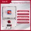 Ganni Explosion-Proof Circuit Breaker Distribution Box
