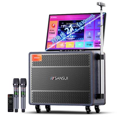 Портативная KTV-колонка-тележка Shanshui с 21-дюймовым экраном