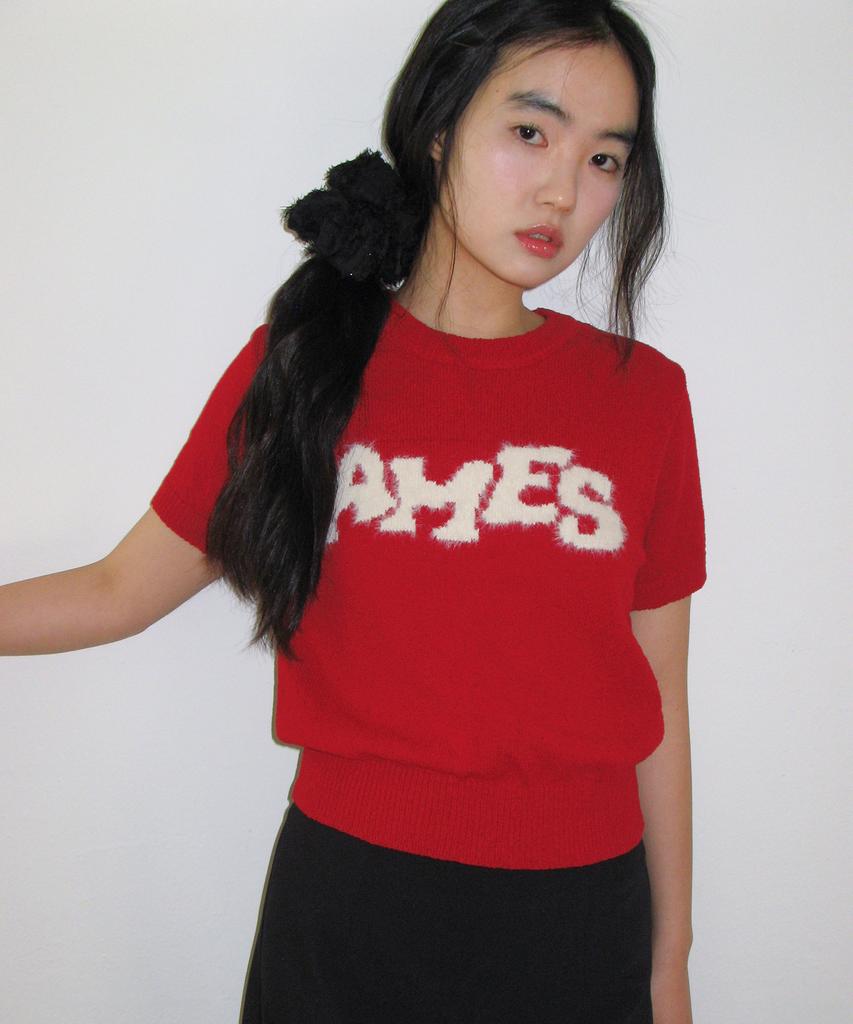 AMES-WORLDWIDE Hairy Logo Short Sleeve Knit Red