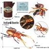 4D Stereo DIY Animal Model Kit: Eagle, Scorpion, Gecko, Rattlesnake, Spider, Lizard, Squirrel, Hedgehog