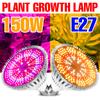 Full Spectrum E27 Phyto Lamp LED Hydroponic Grow Light 220V UV Plant Bulb For Flower Seeds Growth Tent 18W 28W 30W 50W 80W 100W