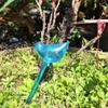 6-1Pc PVC Transparent Plants Watering Bulbs Bird Shape Automatic Drip Irrigation Self Watering Device Home Flower Waterer Bulbs
