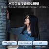 Ulanzi F32 Вспышка Speedlight для зеркальных камер CCT 5600K Цвет для и других цифровых камер со стандартным разъемом горячего башмака, Температура, Sony, Nikon, Canon, Fuji,