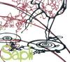 CD РАЗЛИЧНЫЕ Sapli skip bossa RBCP2333 2007 Япония Латинская б/у