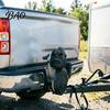 Tough Guy Style Trailer Accessory Hitch Cover, Gorilla Shape Coupling Cover Cap, Towing Unique Design Tow Hook Dustproof Protector for Truck