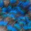 50Pcs Peacock Blue Piece Feather Earrings Hair Accessories Diy Handmade Materials Peacock Hair Point Green Handicrafts Decorative Blue Piece