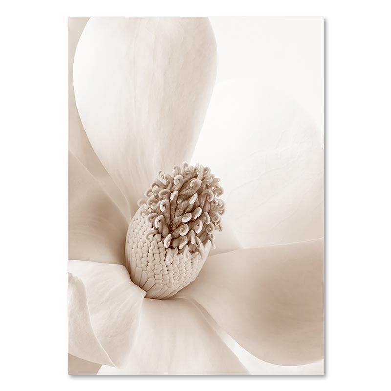 Скандинавский бежевый цветок, трава, холст, картина, пейзаж, картина, минималистичный настенный художественный постер, пейзажный принт, современный декор для дома, комнаты