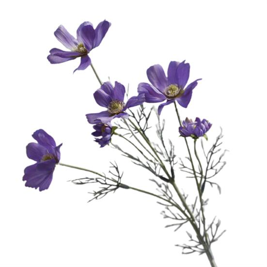 Искусственный цветок водонепроницаемый реалистичный шелковый тканевый ромашка Декор из искусственных цветов