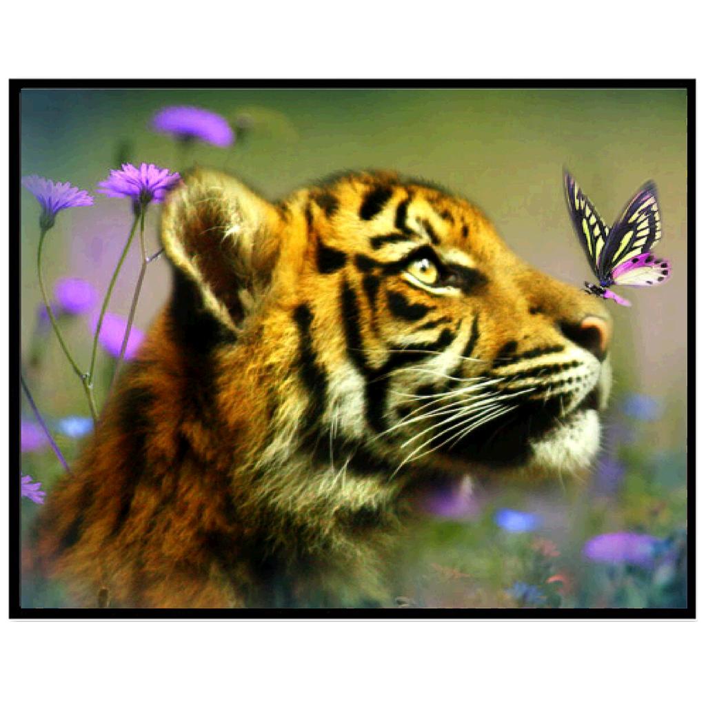 Dotzso Store 5D Diy Алмазная картина Полный круг Смола Животное Алмазная вышитая мозаика Картина Стразы Ремесла