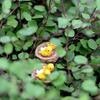 2Pcs Miniatures Oriole Decorative Resin Bird Nest Figurines Mini Garden Ornament for Decorating Landscape