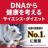 Hills Science Diet Dog Small Indoor 1 Year and For Adult For Elderly Dry Trial Food, Dogs, Spayed/Neutered, Chicken, 2.5kg, Older, Dogs, Dogs, Adult,