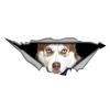 Brown Husky 3D Break the Wall Car Sticker, Waterproof Vinyl Material Accessories, Interesting Creativity For Cars, Trucks, Motorcycles, Walls