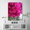 Canvas print, Pink peony flower nature