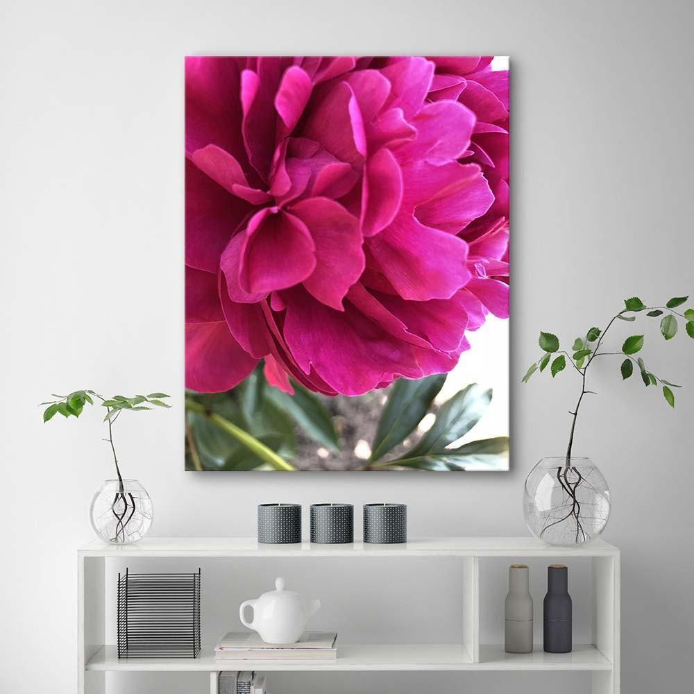 Canvas print, Pink peony flower nature