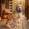 Breathable Dog Soothing Headgear Noise Reduction Dog Ear Cover Pet Calming Hood  Sleep Use