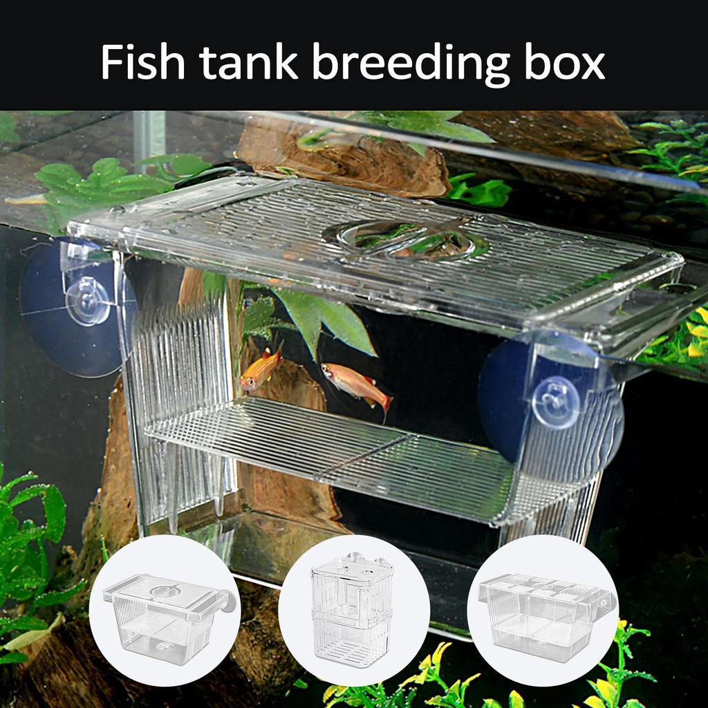 Fish Breeding Box Acrylic Hatchery Incubator Tank Fish Tank Divider Aquarium Breeder Box Fish Breeding Isolation Box