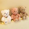 Lucky Teddy Bear Plush Toy For Girls Soft And Cuddly Stuffed Animal For Birthday Gift