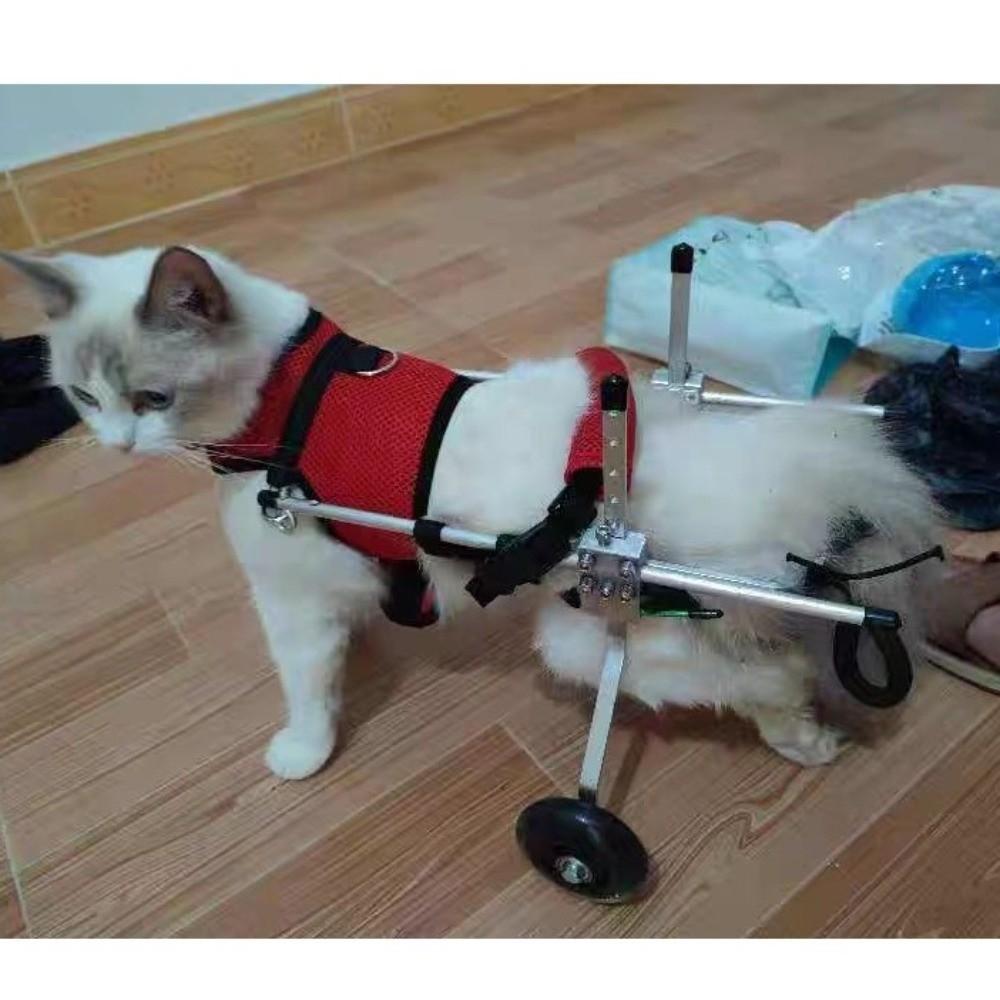 Breathable Harness Cat Wheelchair Adjustable Cat Mobility Scooter  Hindlimb Disabled Cats