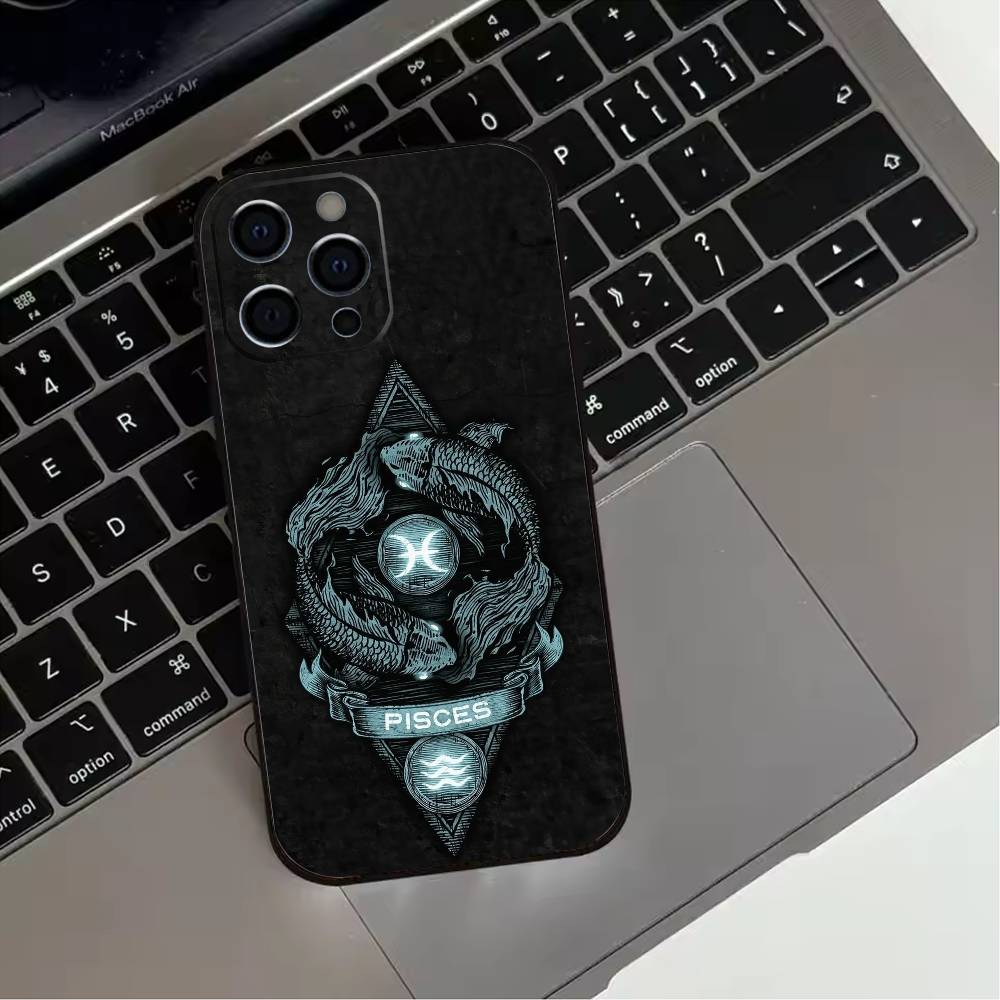 Twelve zodiac signs Phone Case For iPhone 17,16,15,14,13,12,11 Plus,Pro Max,XS,Soft Silicone Black Cover