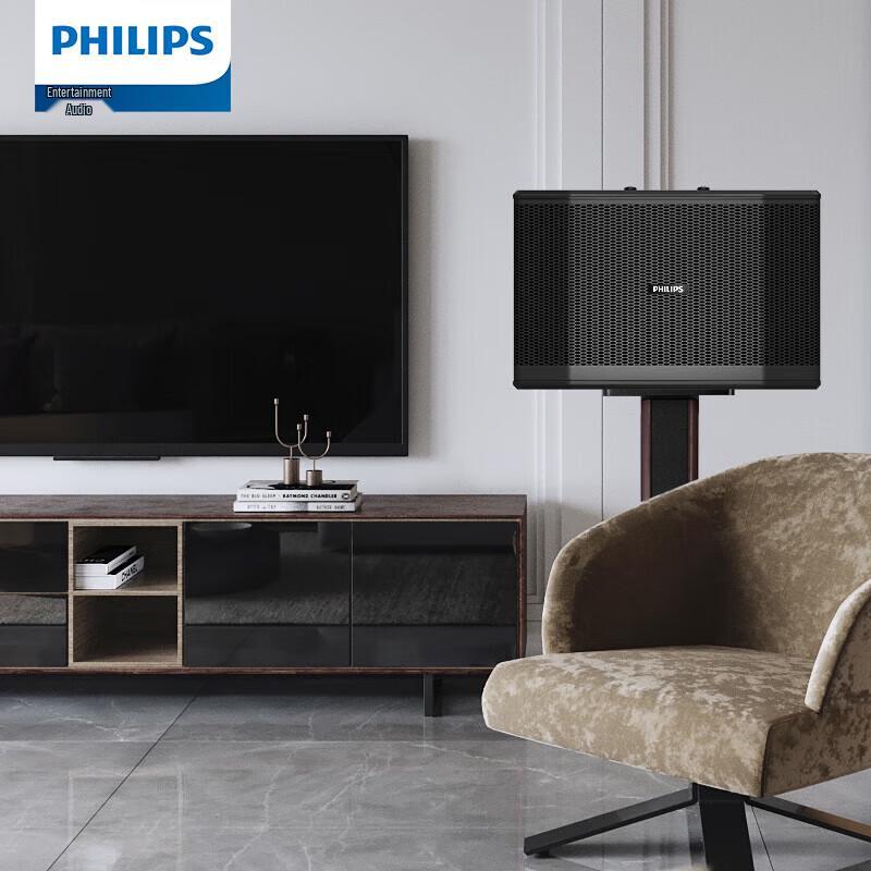 Philips Home KTV Karaoke System (10-inch 2.1 Deluxe Set) CN plug (adapter included)