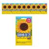 Lotte Sunflower Seed Chocoball 30g X 10P