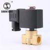 STP21-04-AC220V High-Temp High-Pressure Brass Solenoid Valve, 4mm, 1.6mpa, Water Inlet
