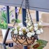 Coconut Brown Round Iron Chain Hanging Basket Flowerpot European Creative Fleshy Green Plant Chlorophytum Comosum Flowerpot