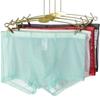 Men Sexy Men Underwear Intimates Boxers Transparent Bulge See Through Mid Waist Panties