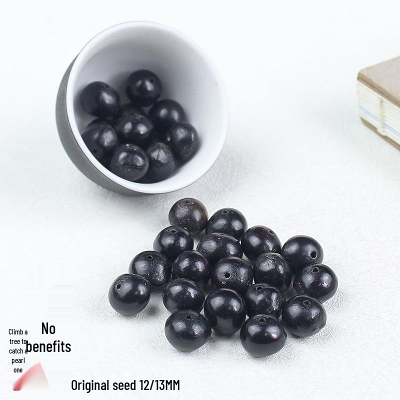 Bodhi 12/13MM Pre-drilled Sapindus Seeds Loose Beads for DIY Buddhist Jewelry Accessories