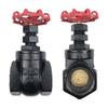 Copper Core Cast Iron Threaded Gate Valve