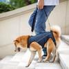 Adjustable Dog Lift Harness Pet Walking Body Support Harness for Medium Large Dogs Travel Disabled Dog Support Device