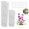 30Pieces Orchids Support Stem Plant Stakes Encourage Vertical Growth Stable And Flexible Support For Indoor Outdoor Use