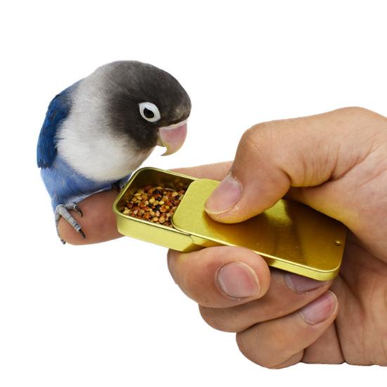 Bird Food Box Portable Small Bite Resistant Exquisite Professional Interact Tinplate Hand-held Parrot Food