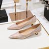Women's Shoes Versatile Low 3cm Heel Shallow Mouth Pointed Flower Cloth Surface Spring Autumn New Women's Shoes DS-230-19