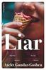 The Liar Book