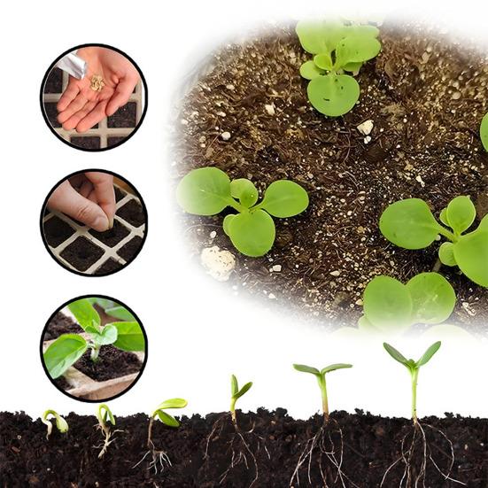 10 шт. поддонов для проращивания, горшки для рассады, экологически чистые, прочные, биоразлагаемые поддоны для садовода