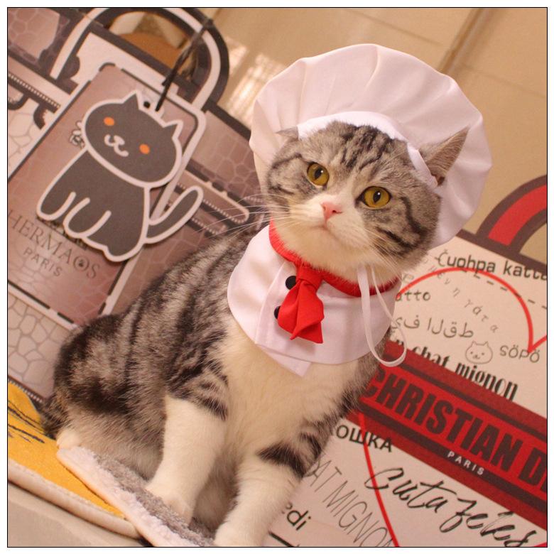 Funny Chef Costume Cape Hat for Dogs Cats Pet Clothing Transform Outfit Cute Pet Apparel Cats Clothes Cosplay Costumes