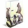 Herma Animals Motif File A4 (Koala)