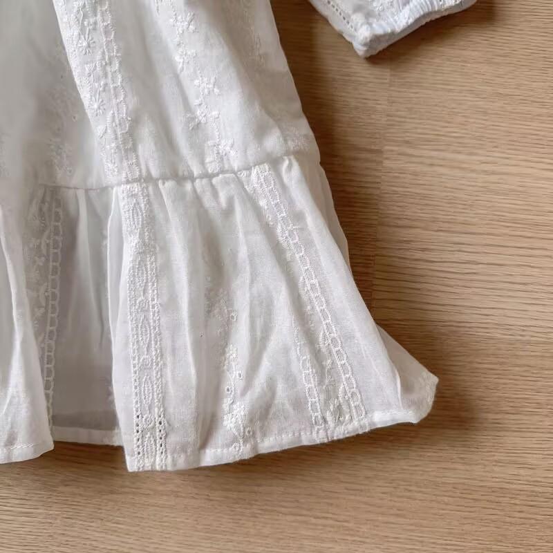 Girls Spring Autumn Long Sleeve Embroidered Princess Dress Stylish Baby Party Gown For Kids
